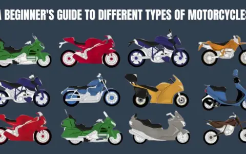 Guía para principiantes sobre diferentes estilos de motos: deportivas rojas, touring verdes, custom azules, y más.